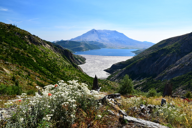 Helens6.JPG - 夏。雷尼爾國家公園與聖海倫火山