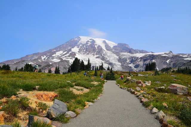 Rainier4.JPG - 夏。雷尼爾國家公園與聖海倫火山