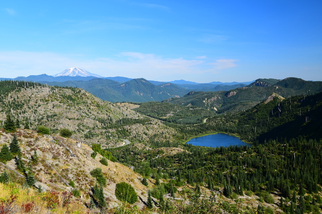 Helens20.JPG - 夏。雷尼爾國家公園與聖海倫火山