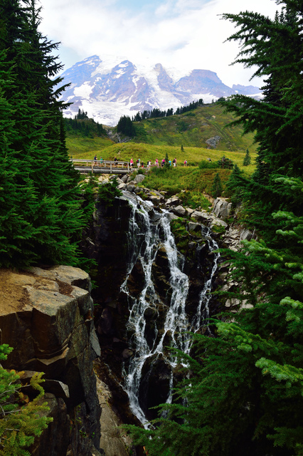 Rainier37_r.JPG - 夏。雷尼爾國家公園與聖海倫火山