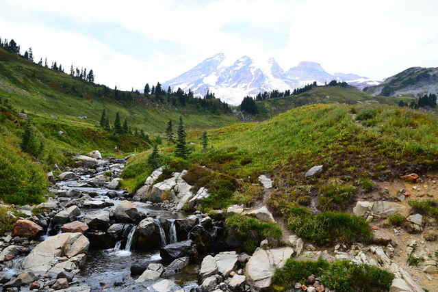 Rainier35.JPG - 夏。雷尼爾國家公園與聖海倫火山