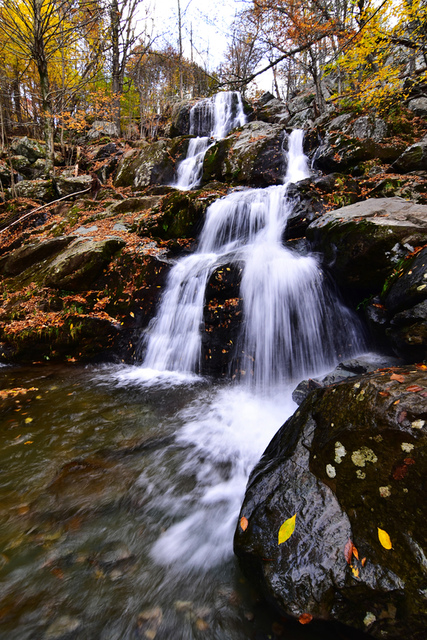 Fall9.JPG - Shenandoah，仙納度國家公園