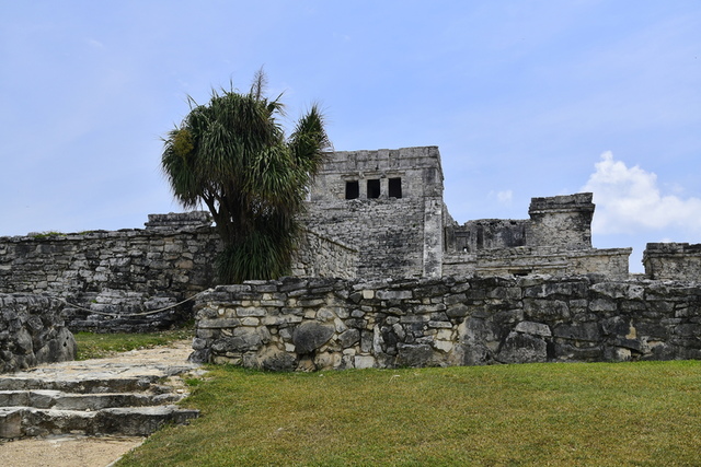 Tulum7.JPG - 2016帶著爸爸去旅行