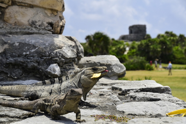 Tulum1.JPG - 2016帶著爸爸去旅行