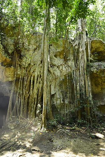 Jamaica7.JPG - 2016帶著爸爸去旅行