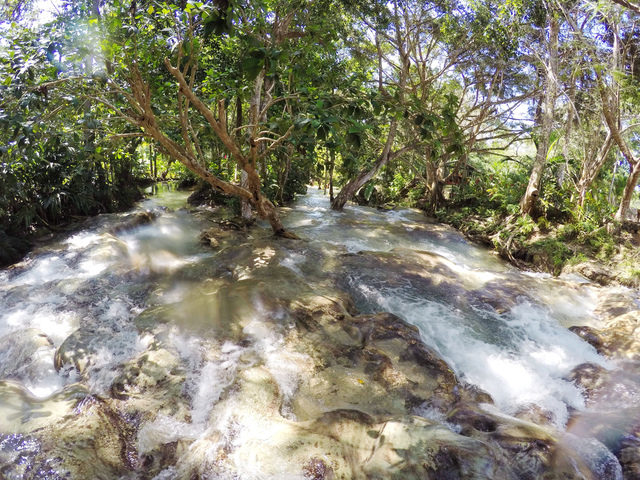 Jamaica17.JPG - 2016帶著爸爸去旅行