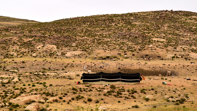 Bedouin2.jpg - 2016.05 Jordan