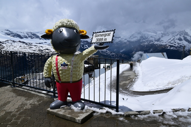 Gornergrat15.JPG - 瑞士14日遊