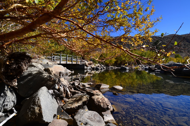 Convict5.JPG - 加州健行：Eastern Sierra