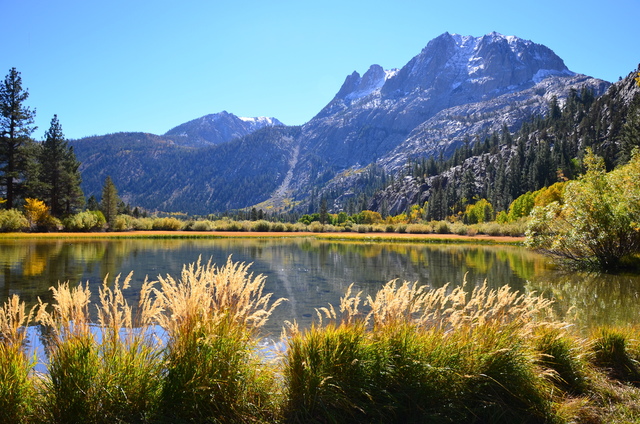 Silver4.JPG - 加州健行：Eastern Sierra