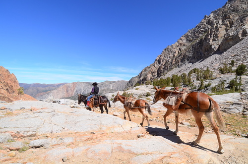 Piute10.JPG - 加州健行：Eastern Sierra