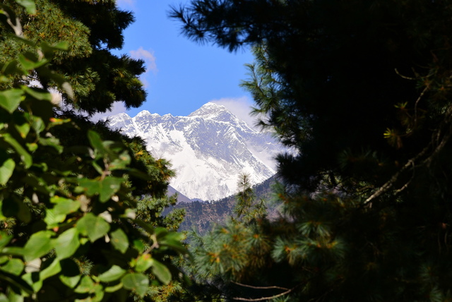 DSC_1555.JPG - 2018.11 尼泊爾EBC+Gokyo 15日健行