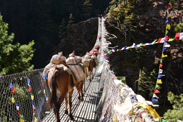 DSC_1552.JPG - 2018.11 尼泊爾EBC+Gokyo 15日健行