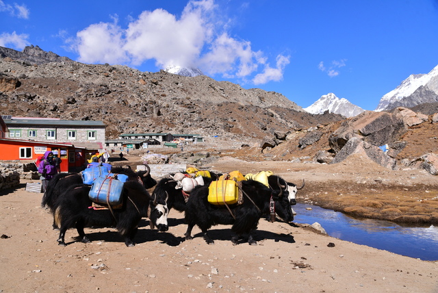 DSC_2055.JPG - 2018.11 尼泊爾EBC+Gokyo 15日健行