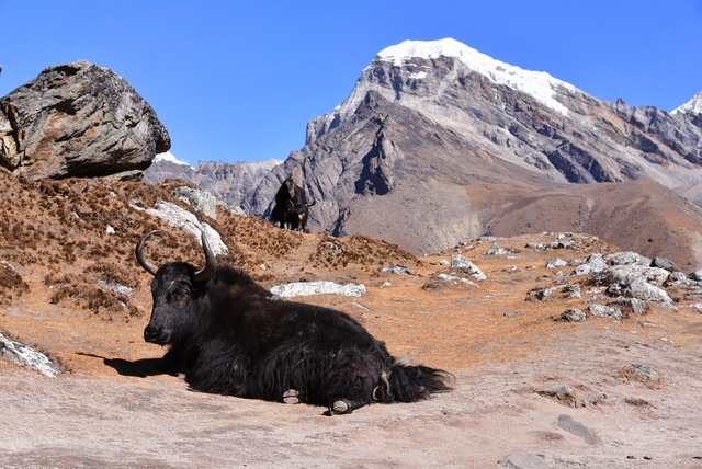 DSC_2297.JPG - 2018.11 尼泊爾EBC+Gokyo 15日健行