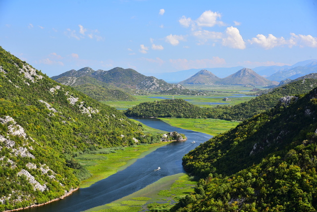 Pavlova4.JPG - Montenegro