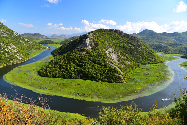 Pavlova3.JPG - Montenegro