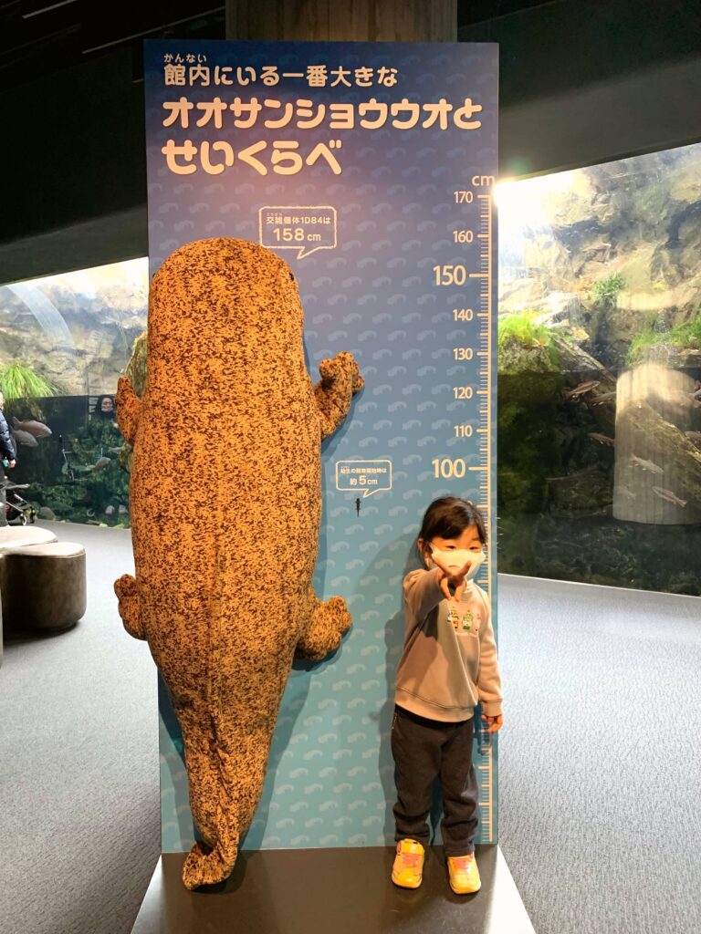 親子旅遊】京都水族館門票/交通/景點- 娃係背包客